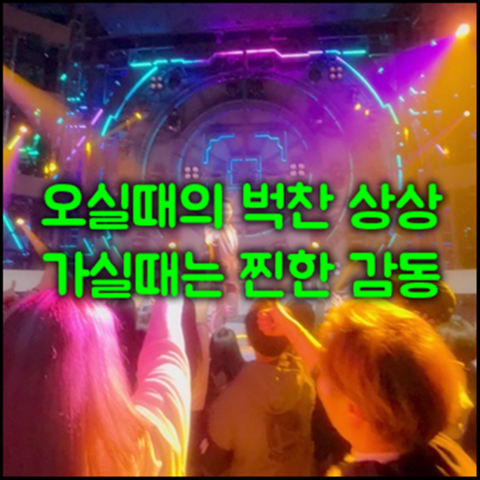 강남나이트7 강호동@