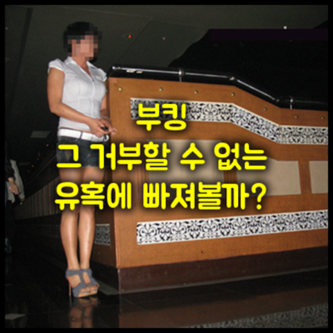 청담나이트강남나이트